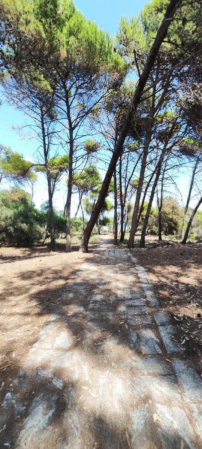 Vila Oasis Escape Vaccarizzo-Delfino Exteriér fotografie